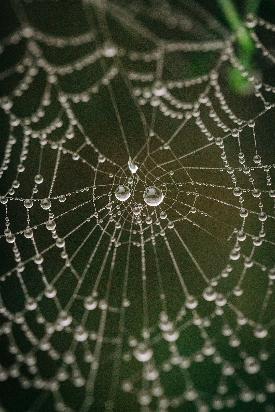 The Hidden Clues (image credits: unsplash)