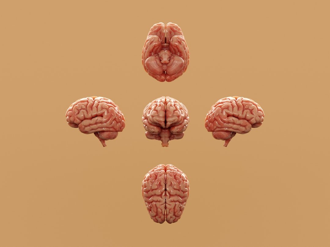 Daredevil: Hearing With the Whole Brain (image credits: unsplash)