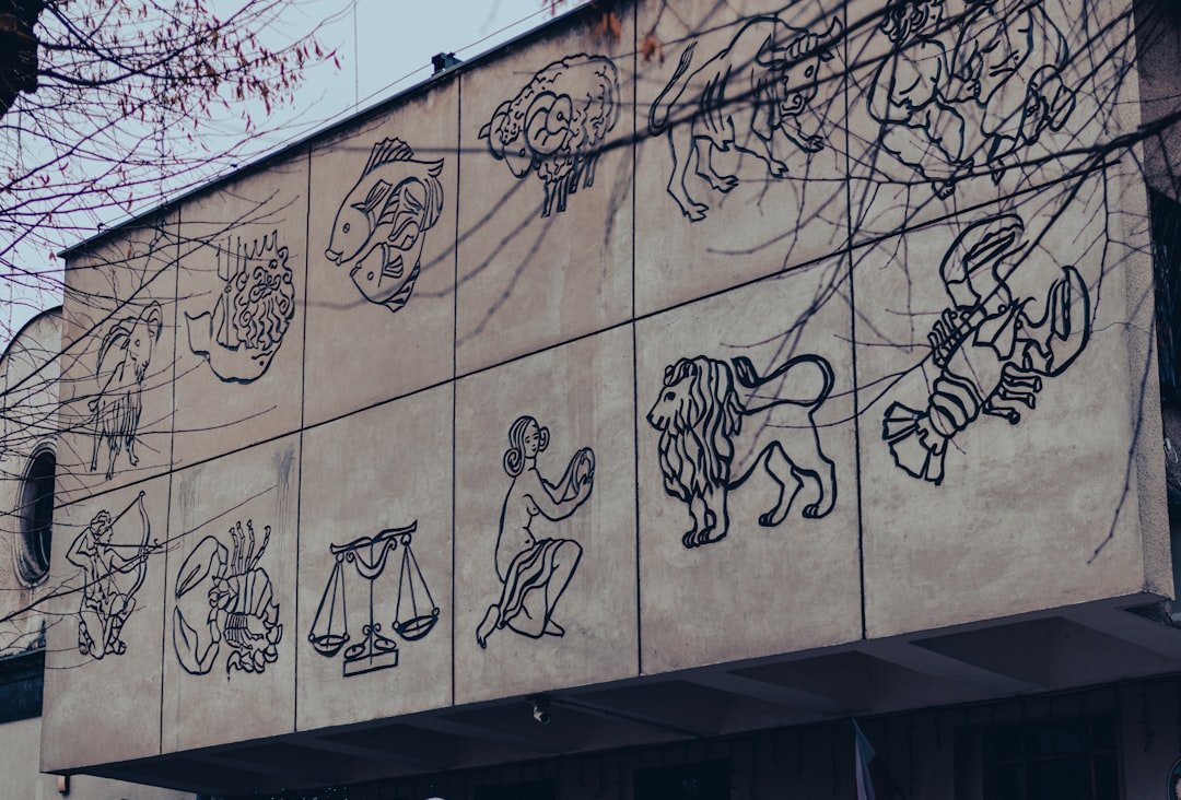 The Hidden Clues (image credits: unsplash)
