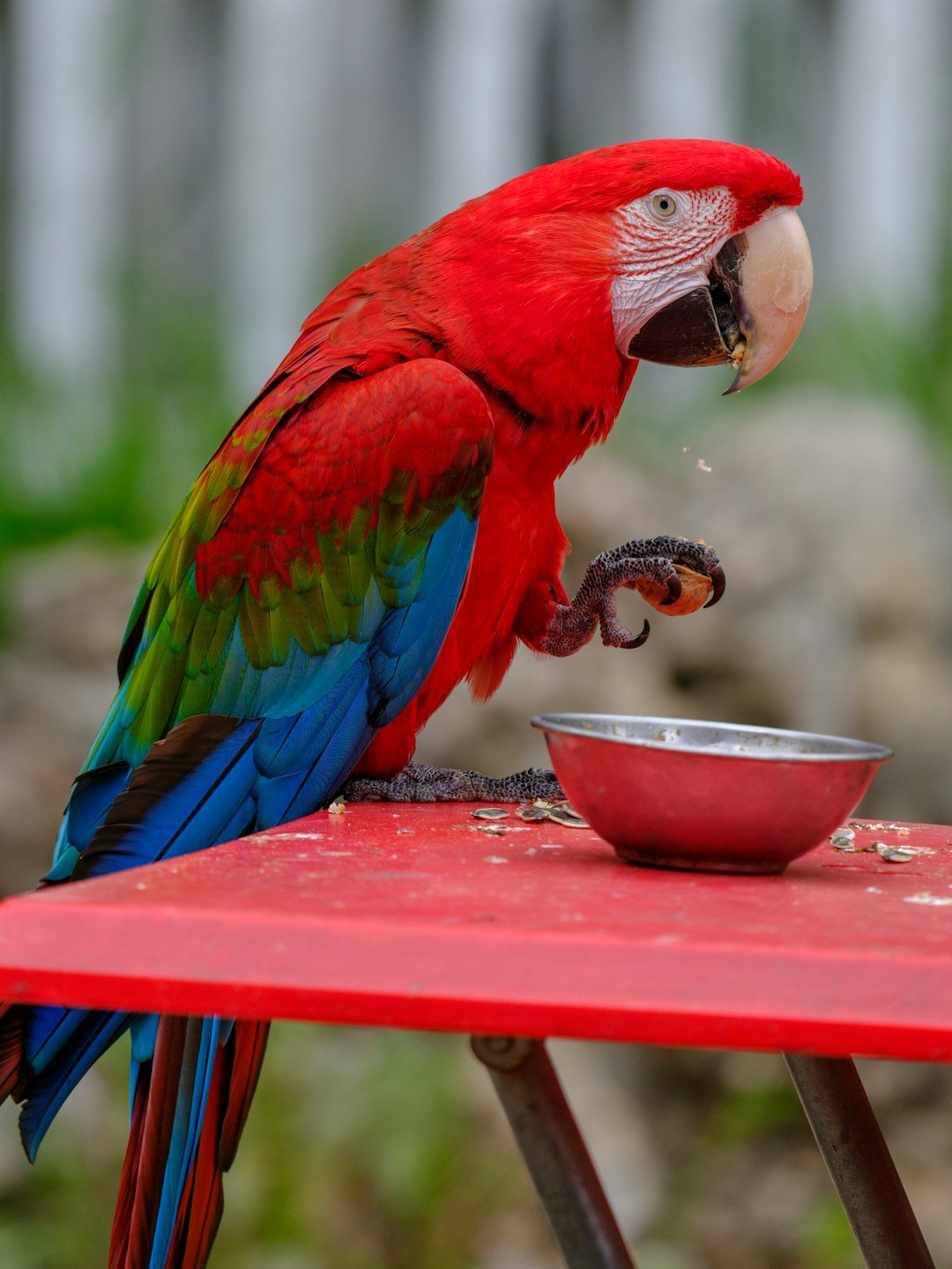 How Names Are Learned (image credits: unsplash)