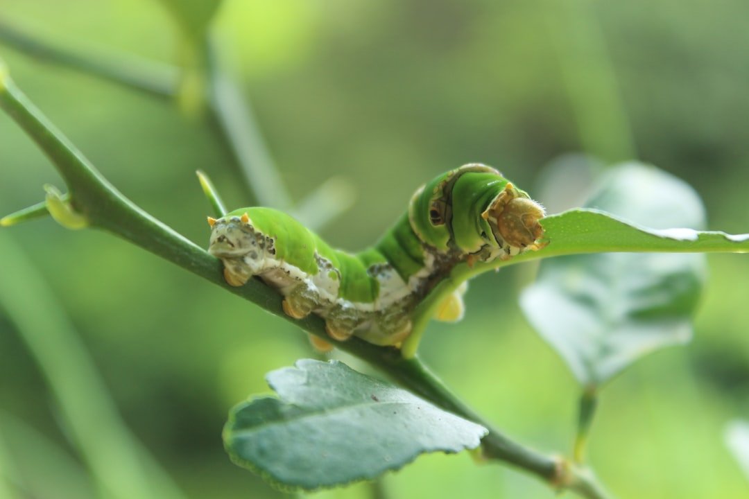 The Hidden Clues (image credits: unsplash)