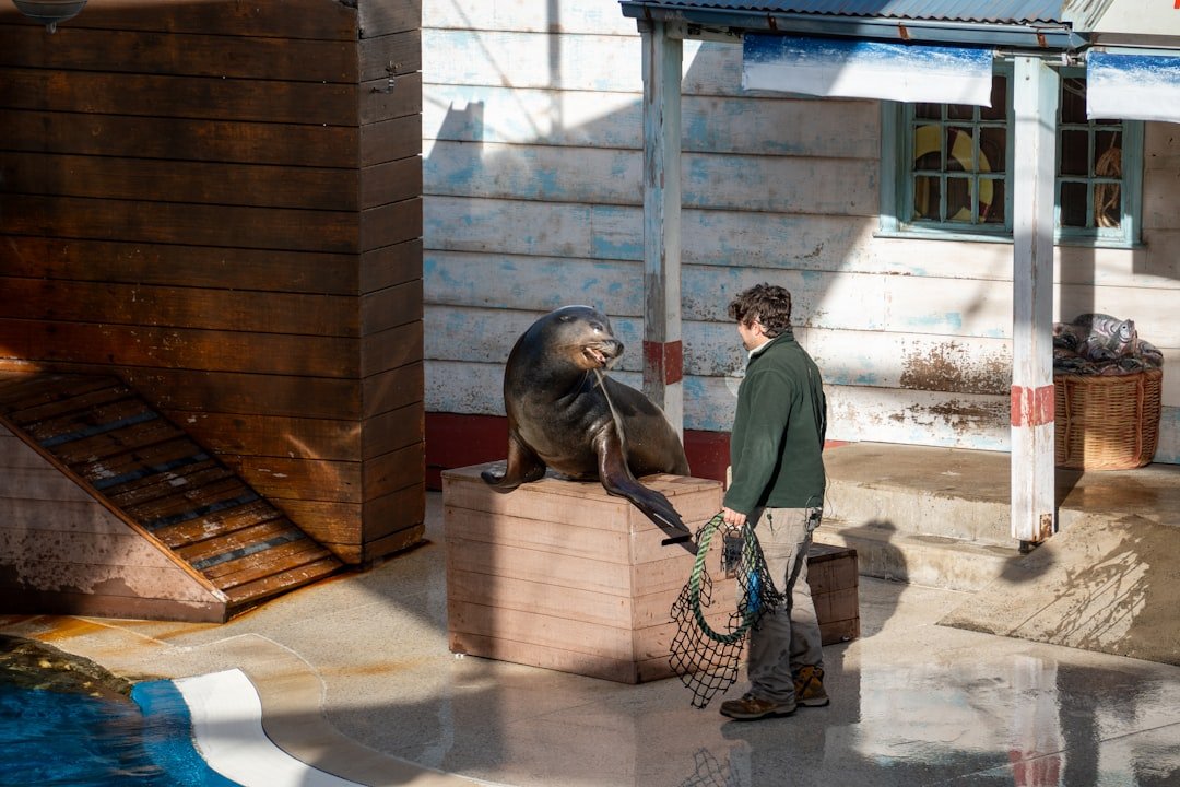 Why It Matters (image credits: unsplash)