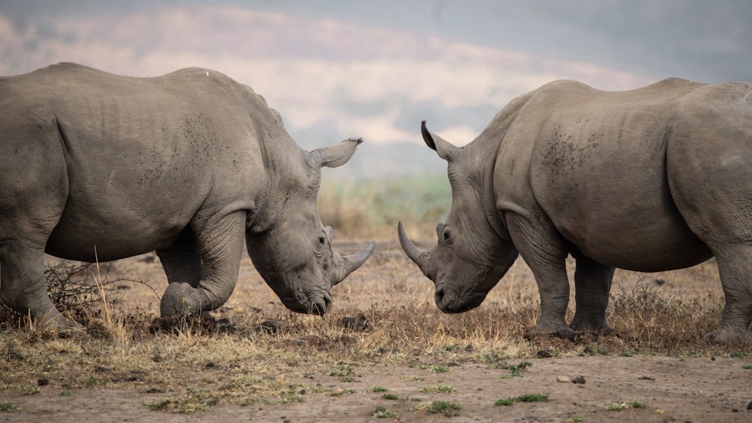 Conclusion (image credits: unsplash)