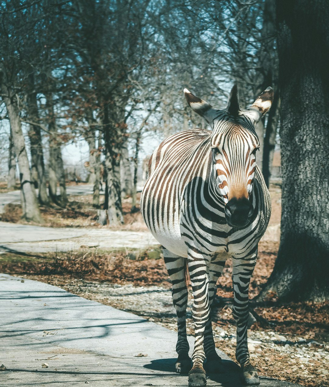 The Hidden Clues (image credits: unsplash)