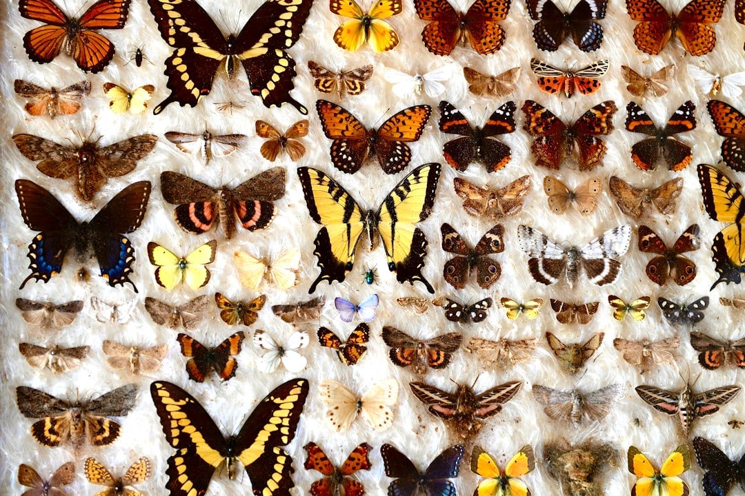 Animal Archetypes in Fabric and Form (image credits: unsplash)