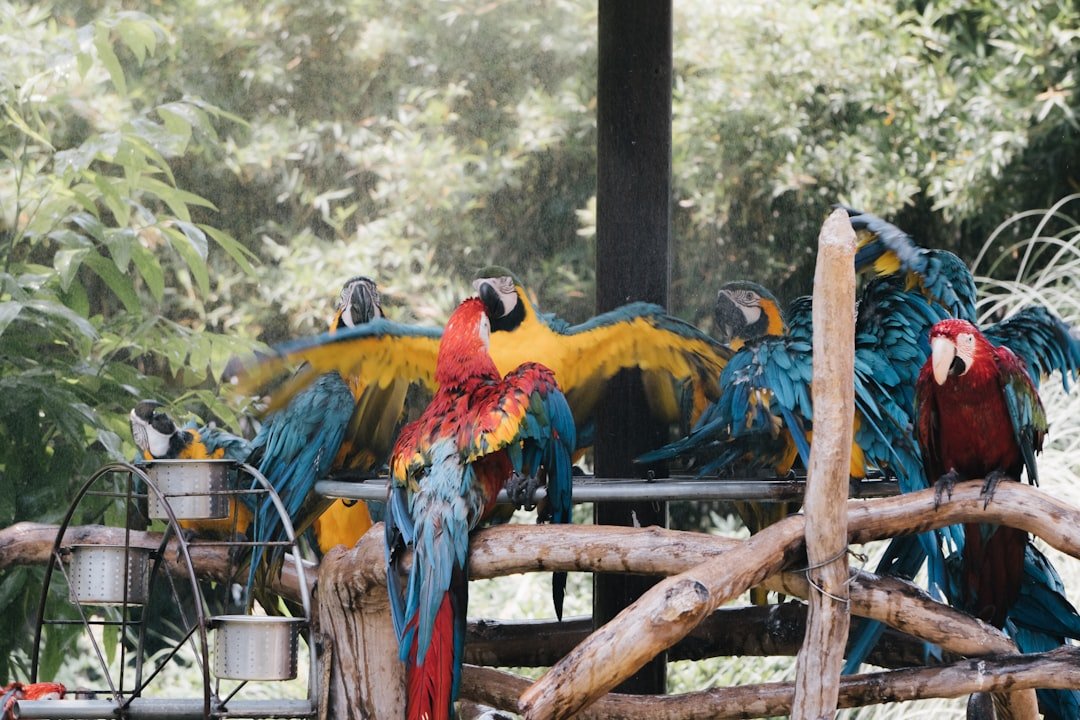 The Evidence in Feathers: What Species Traits Tell Us (image credits: unsplash)