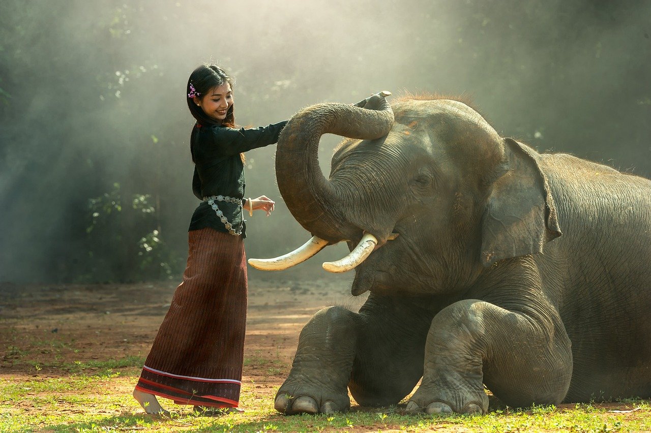 The Zodiac Signs Most Spiritually Linked to Elephants