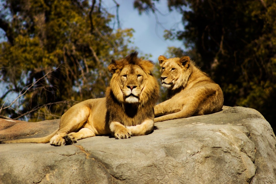 Natural Born Leaders Who Command Respect (image credits: unsplash)