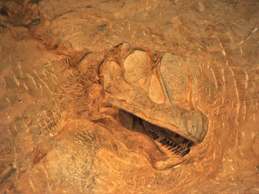 The Morrison Formation Connection (image credits: flickr)