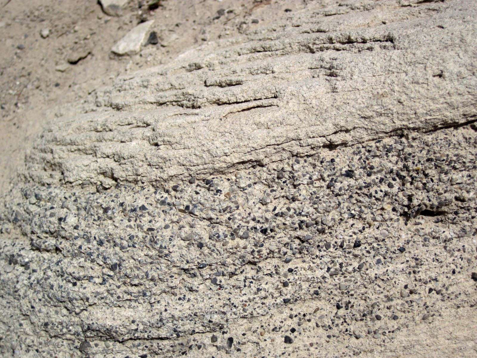 The Poison Spring Theory (image credits: Morrison Formation (Upper Jurassic; Dinosaur National Monument, Utah, USA) 47, CC BY 2.0, https://commons.wikimedia.org/w/index.php?curid=82923219)