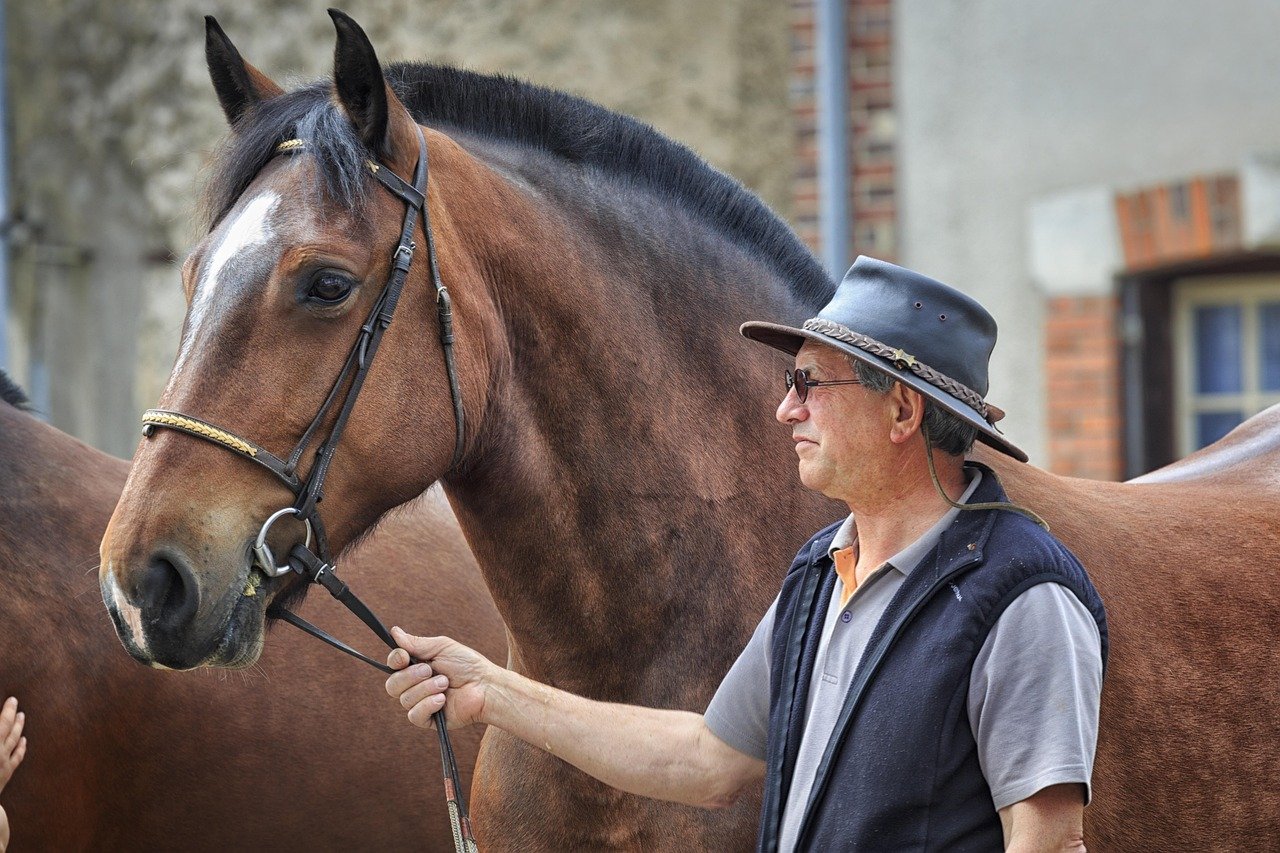 Horses: Strength, Steadiness, and Gentle Power (image credits: pixabay)