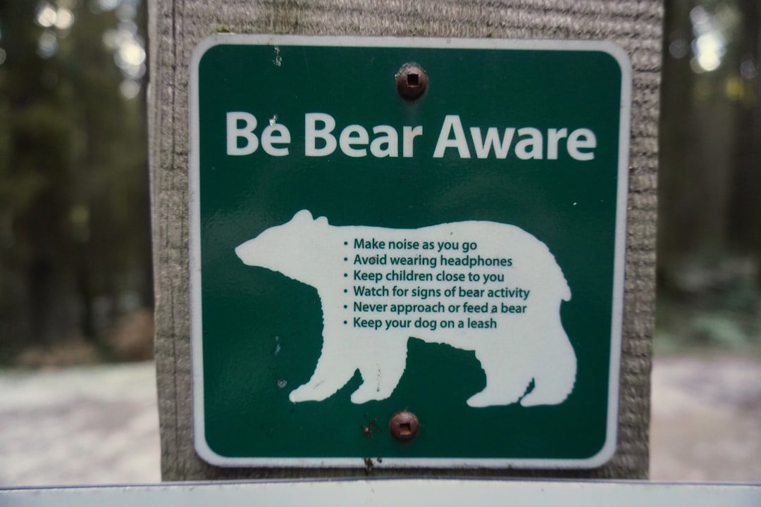 Community Responsibility in Bear Country (image credits: unsplash)