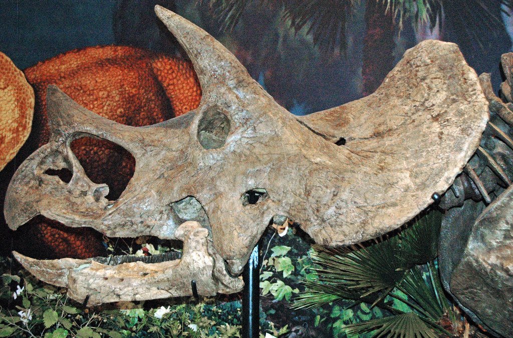 Hell Creek Formation: The Ultimate Dinosaur Graveyard (image credits: flickr)