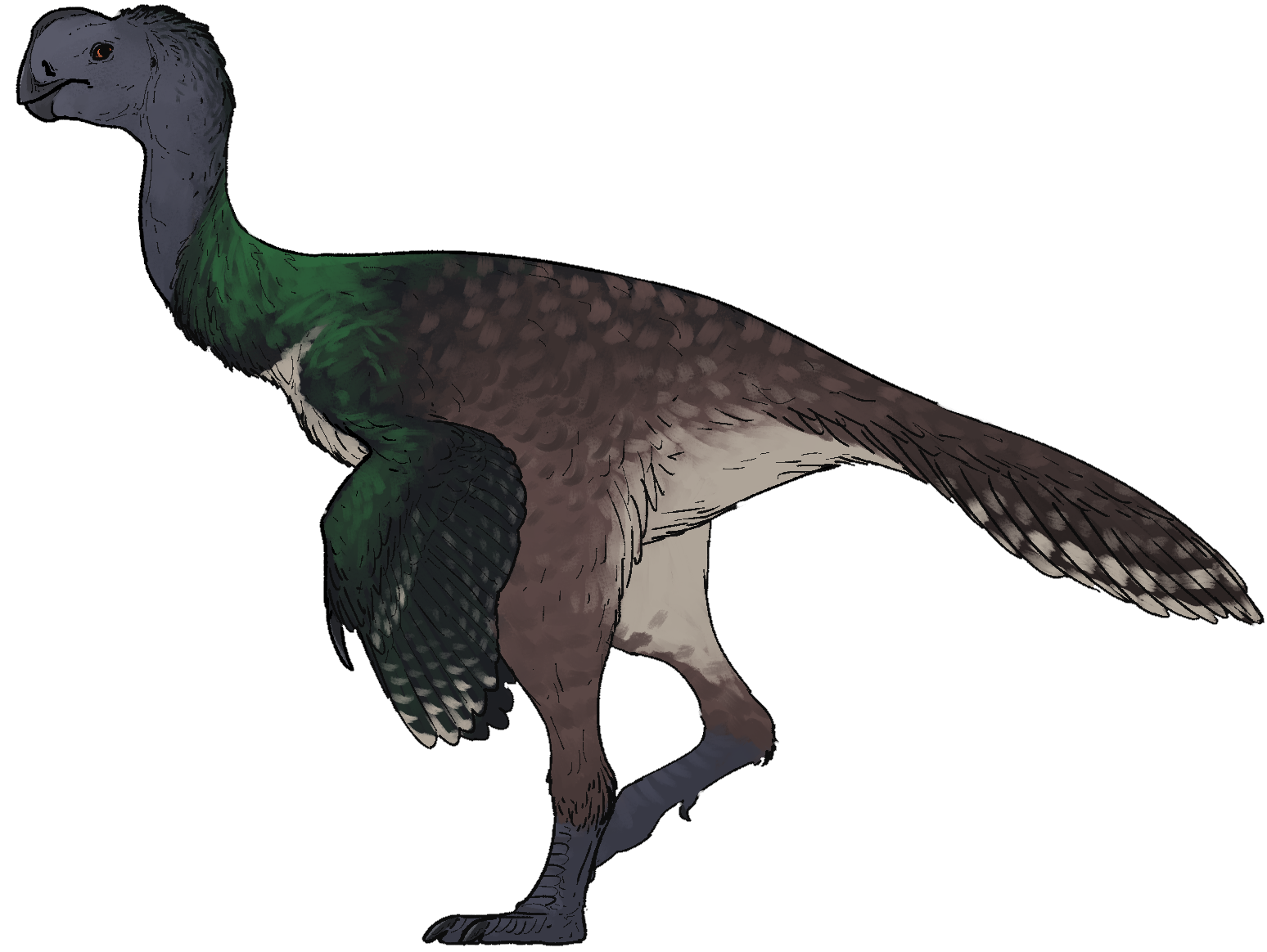 Eoneophron: The