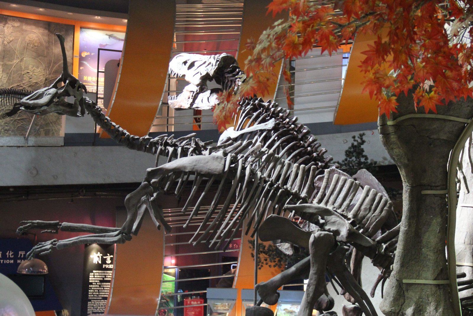 Wankel Rex: Montana's Crown Jewel (image credits: wikimedia)