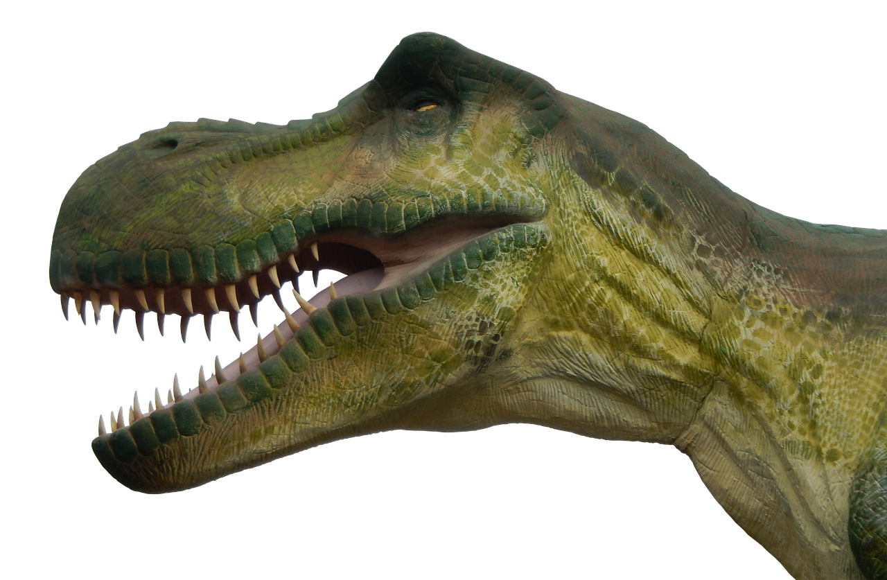 Tufts-Love Rex: Montana's Modern Marvel (image credits: pixabay)