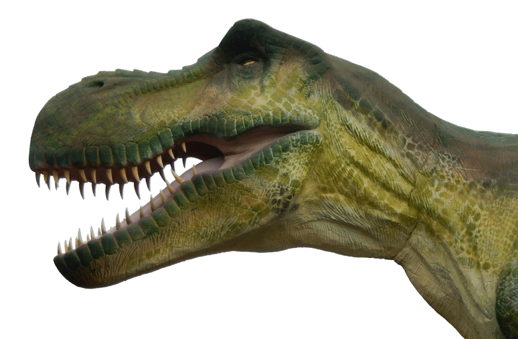 10 Incredible Dinosaur Fossils Unearthed in the U.S. - And What They Tell Us About Prehistoric America