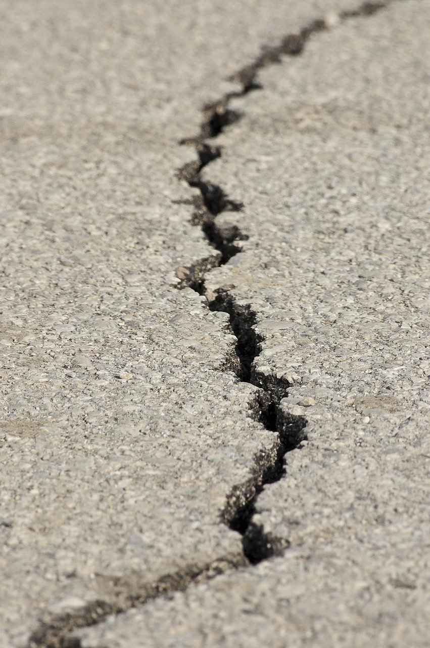 The Ancient Origins of Animal Earthquake Predictions (image credits: pixabay)