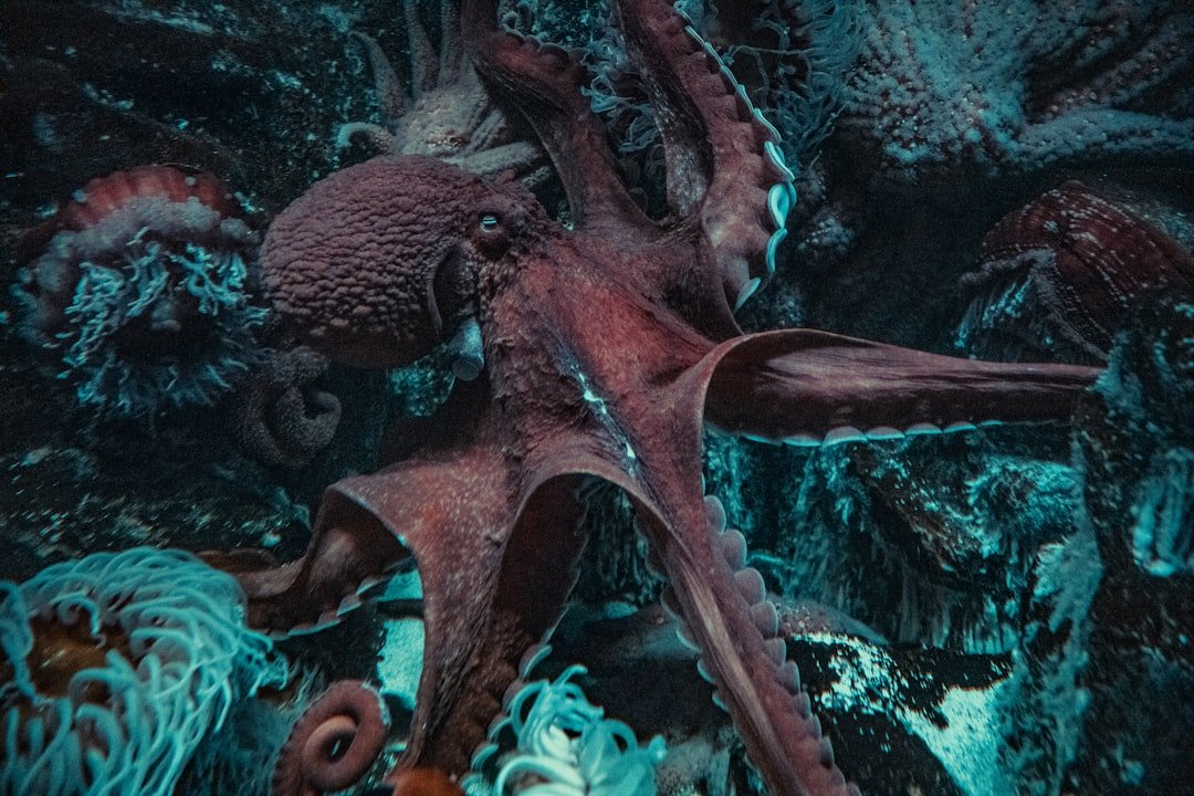 The Creative Octopus: Artistic Expression Enthusiasts (image credits: unsplash)