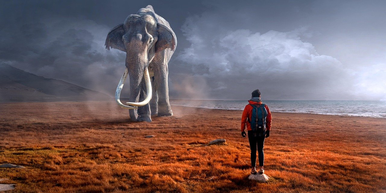 Finding Your Perfect Mythical Match (image credits: pixabay)