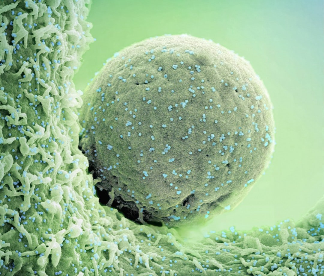 Yamanaka Factors: The Cellular Time Machine (image credits: unsplash)