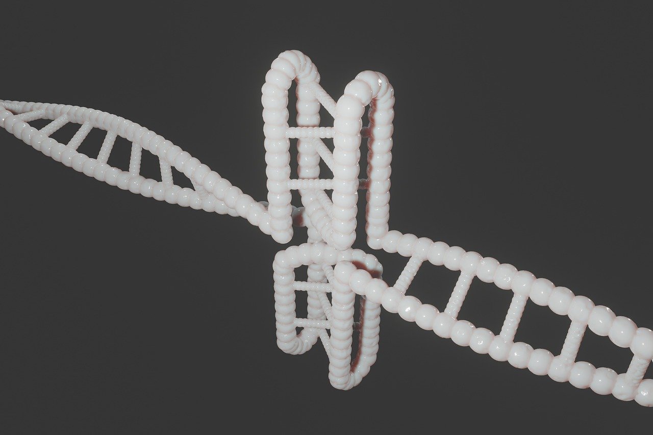 DNA Repair: The Cellular Maintenance Crew (image credits: pixabay)