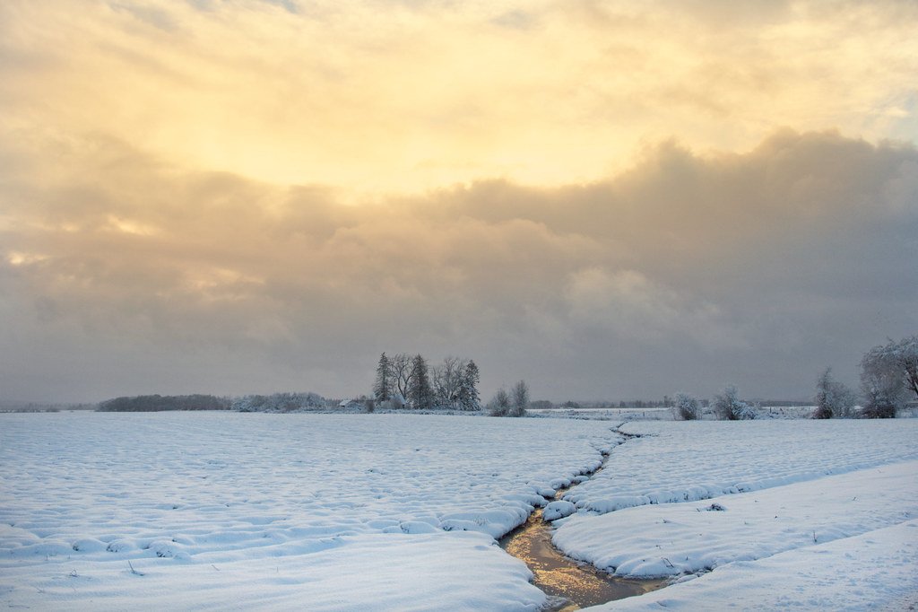 The Pacific Northwest's Double Threat (image credits: flickr)