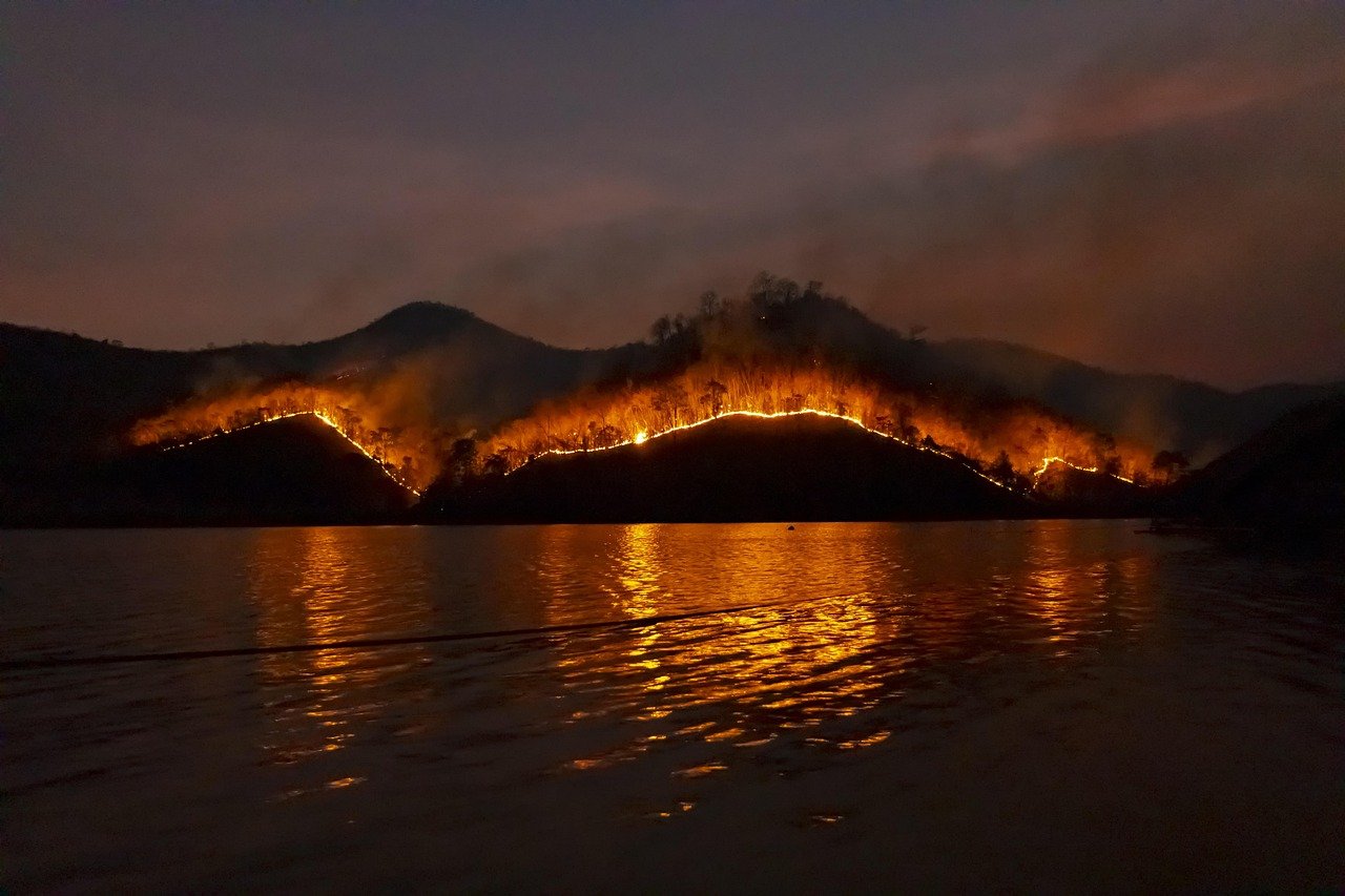 The Wildfire Connection Nobody Talks About (image credits: pixabay)