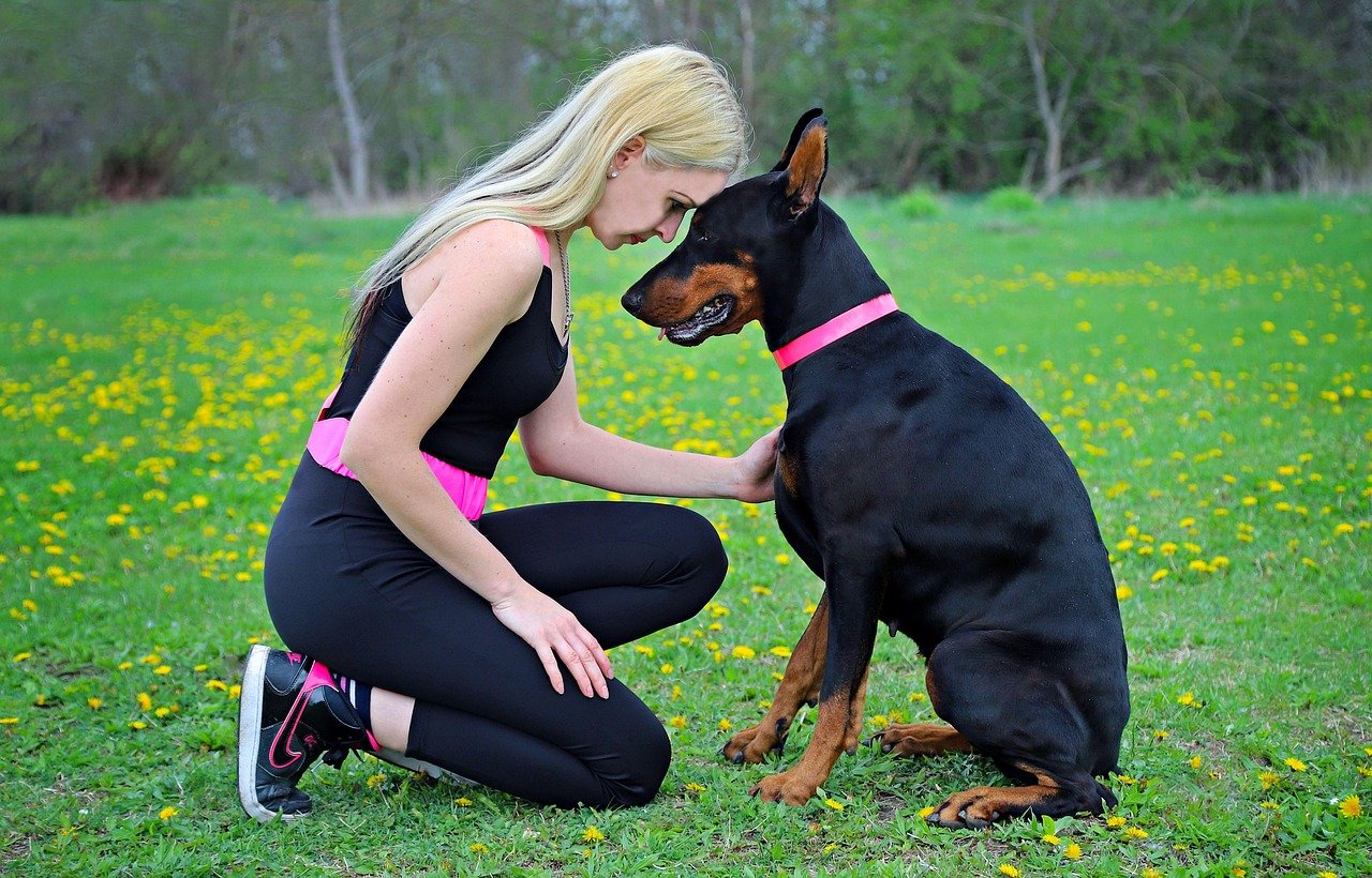 A New Understanding of Our Shared Emotional World (image credits: pixabay)