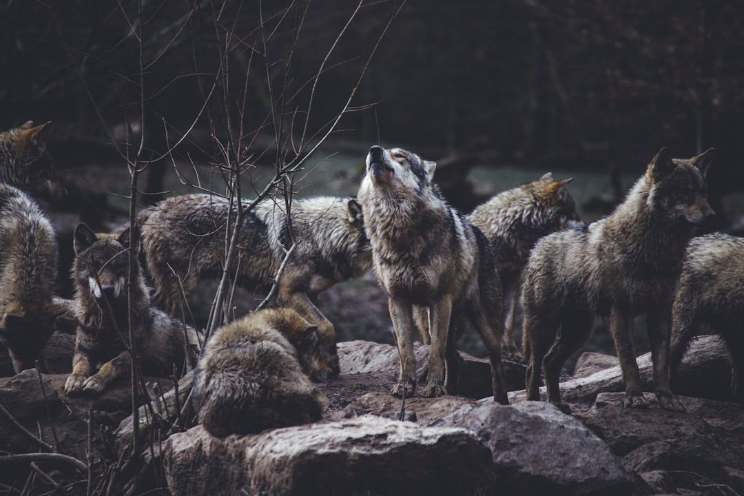 The Hidden Clues (image credits: unsplash)