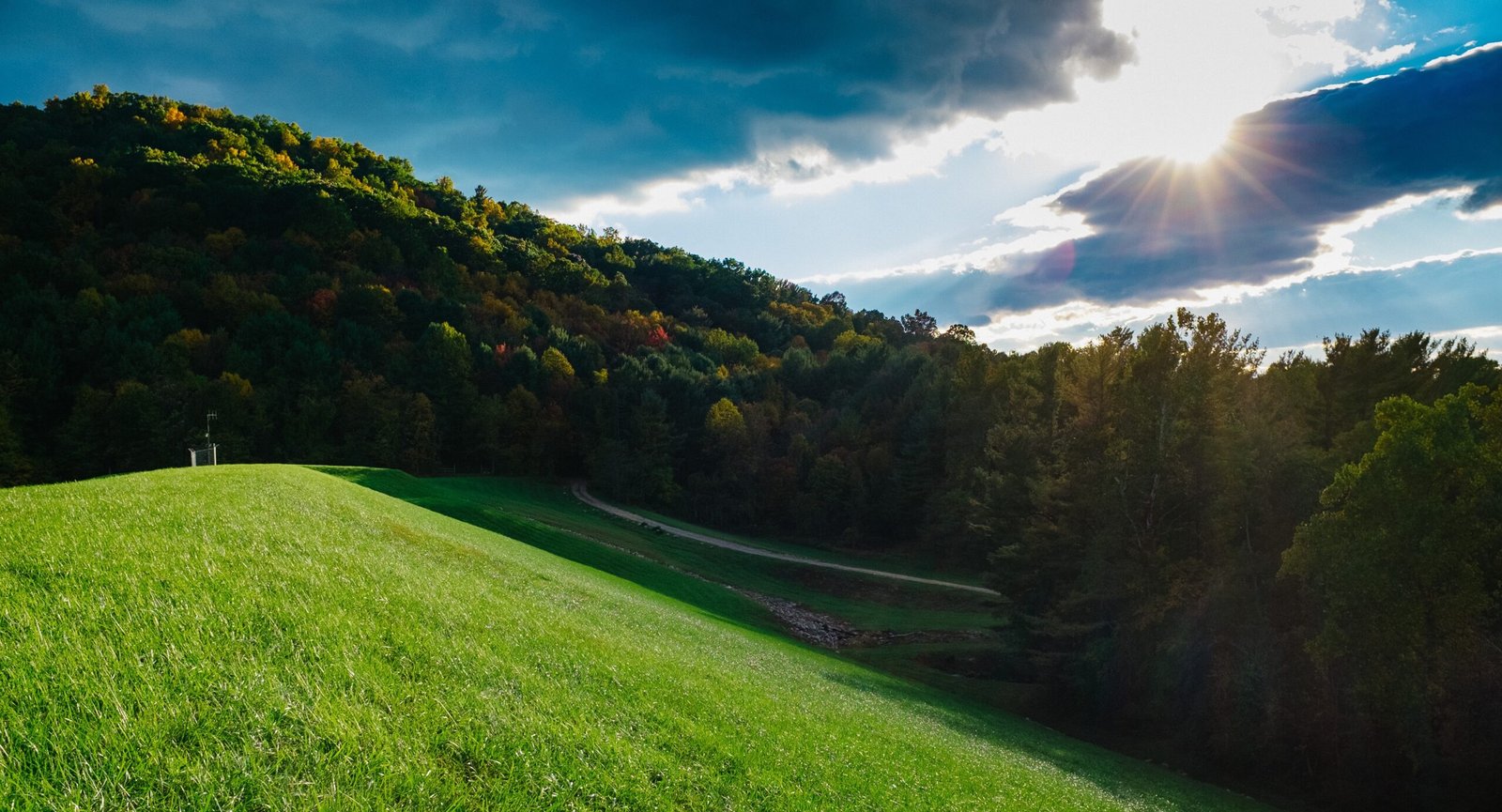 Random Forest Models Are Achieving Nearly Perfect Accuracy (image credits: wikimedia)