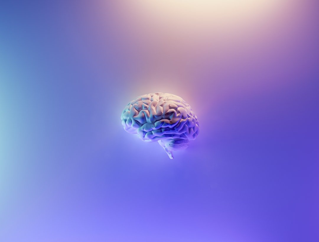 The Science Behind Perfect Memory (image credits: unsplash)