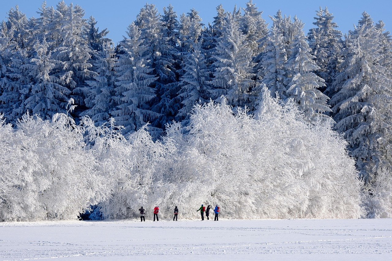 Winter Storms Break All the Rules (image credits: pixabay)