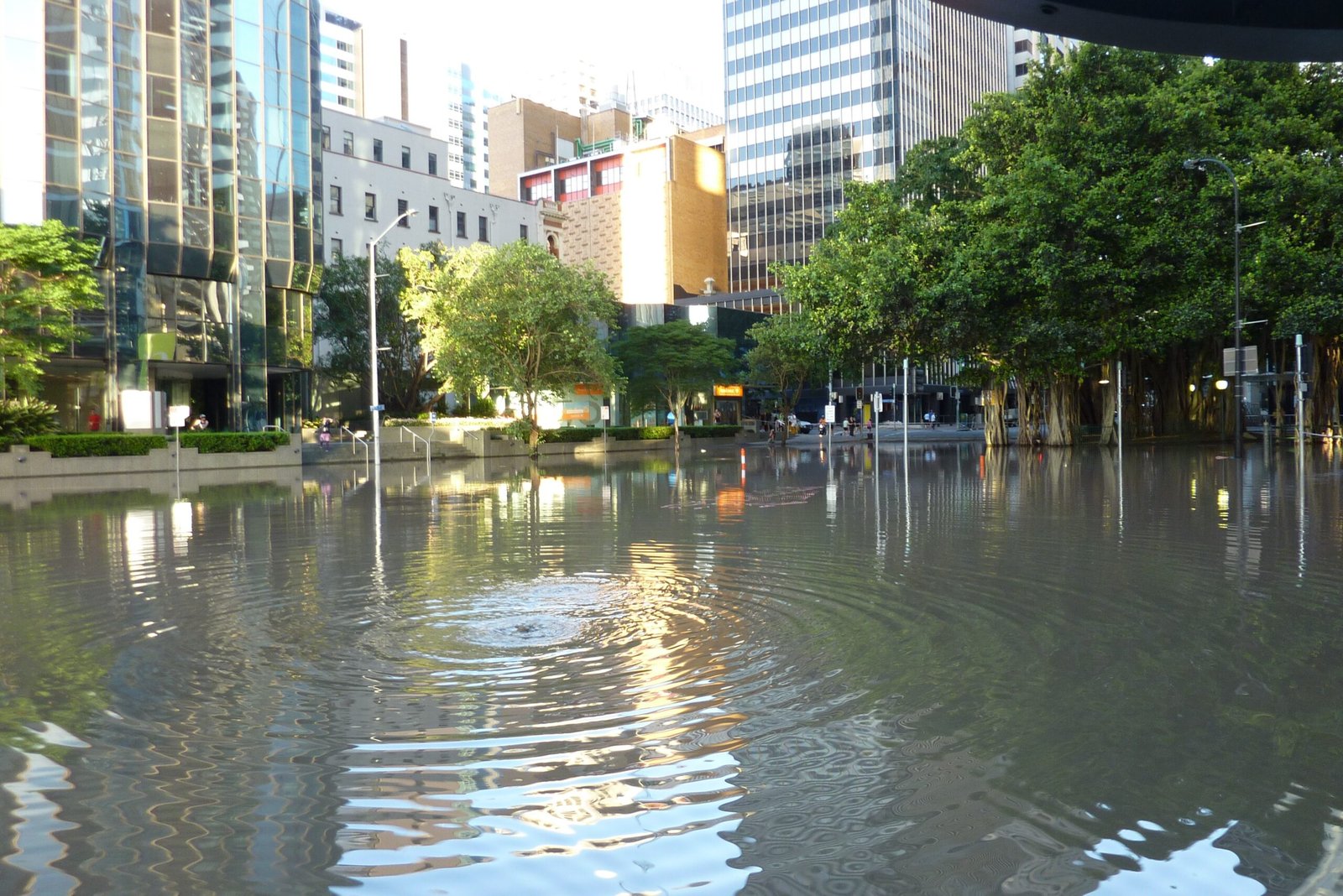 Flash Floods Become the New Normal (image credits: wikimedia)