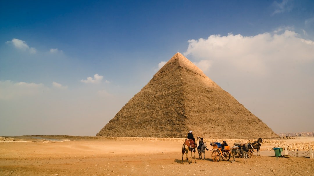 Debunking the Slave Labor Myth Forever (image credits: unsplash)
