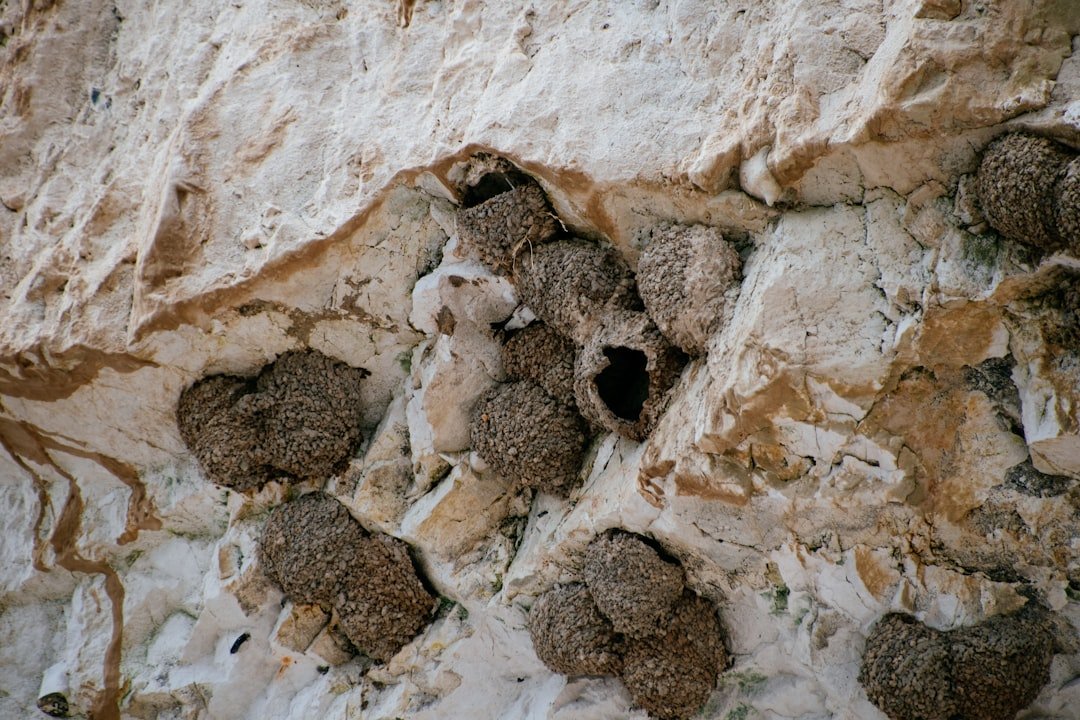 The Future Landscape (image credits: unsplash)