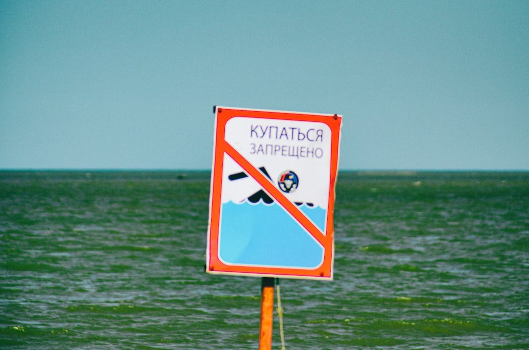Water Signs, Deep and Magnetic (Cancer, Scorpio, Pisces) (image credits: unsplash)