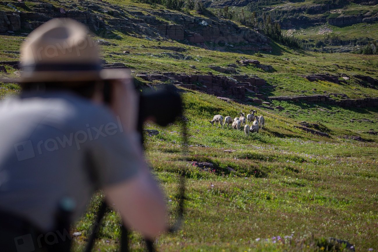 Why It Matters (image credits: rawpixel)