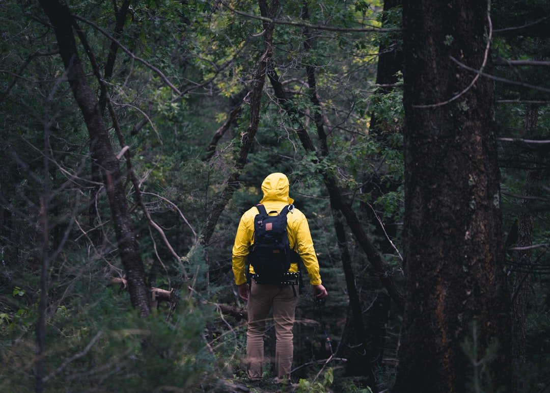 Call to Action (image credits: unsplash)