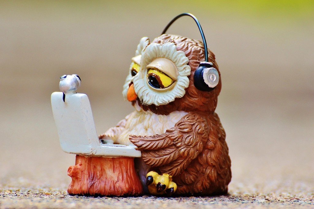 Classical and Owls: Cognitive Explorers (image credits: rawpixel)
