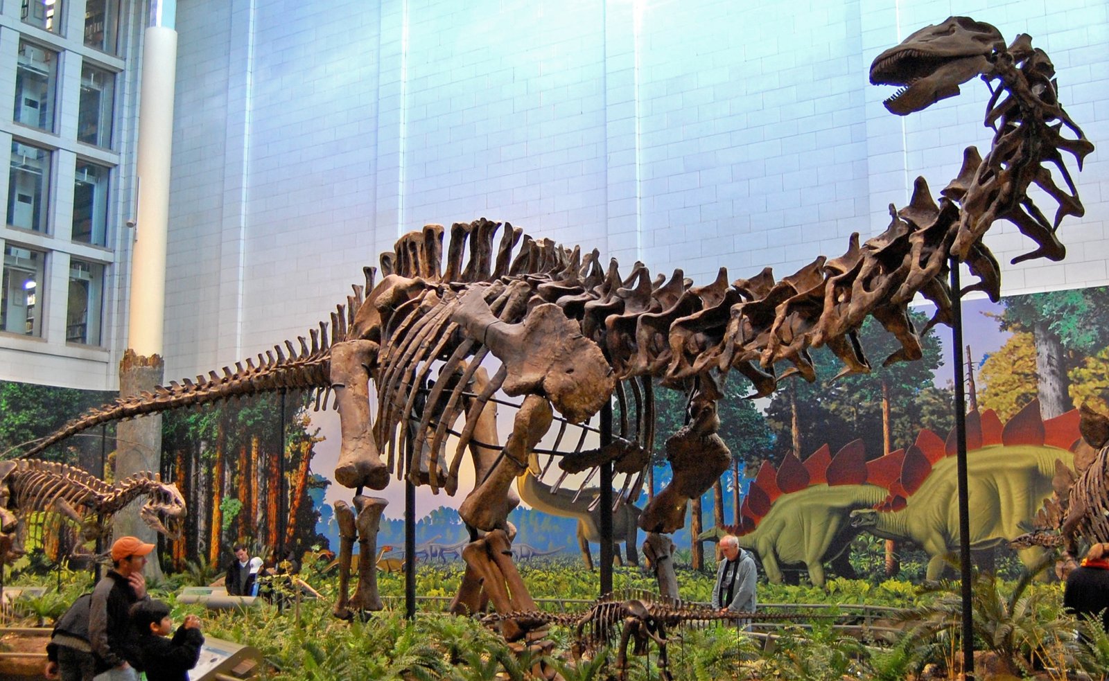 The Long-Necked Wonder: Akidostropheus Oligos (image credits: By Source: Tadek Kurpaski from London, Poland Derivative: User:MathKnight, CC BY-SA 3.0, https://commons.wikimedia.org/w/index.php?curid=33903648)