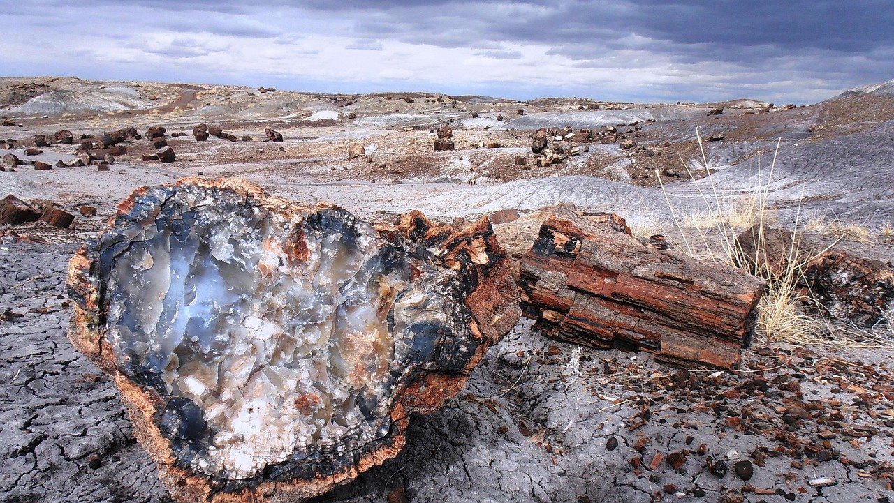 The Coprolite Layer Mystery (image credits: pixabay)