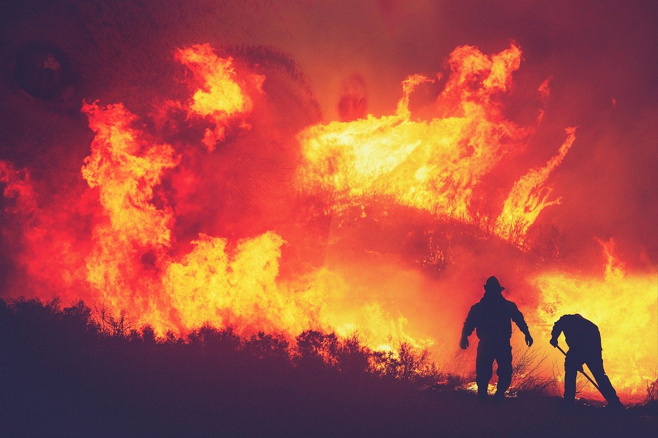 Wildfire: The Greatest Natural Threat (image credits: pixabay)