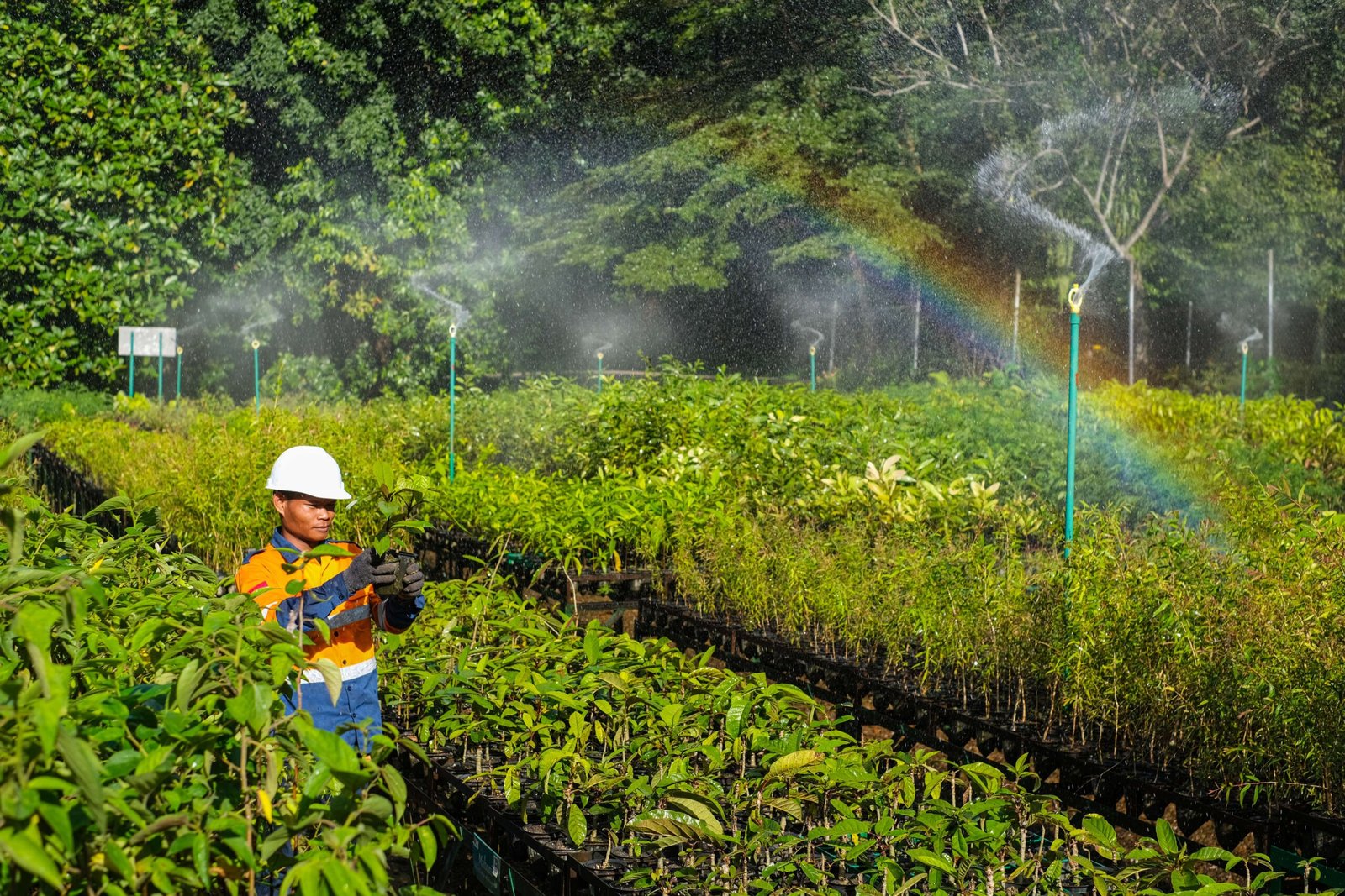 The Science Behind Farming (image credits: By Mamansukirman06, CC BY-SA 4.0, https://commons.wikimedia.org/w/index.php?curid=143132096)