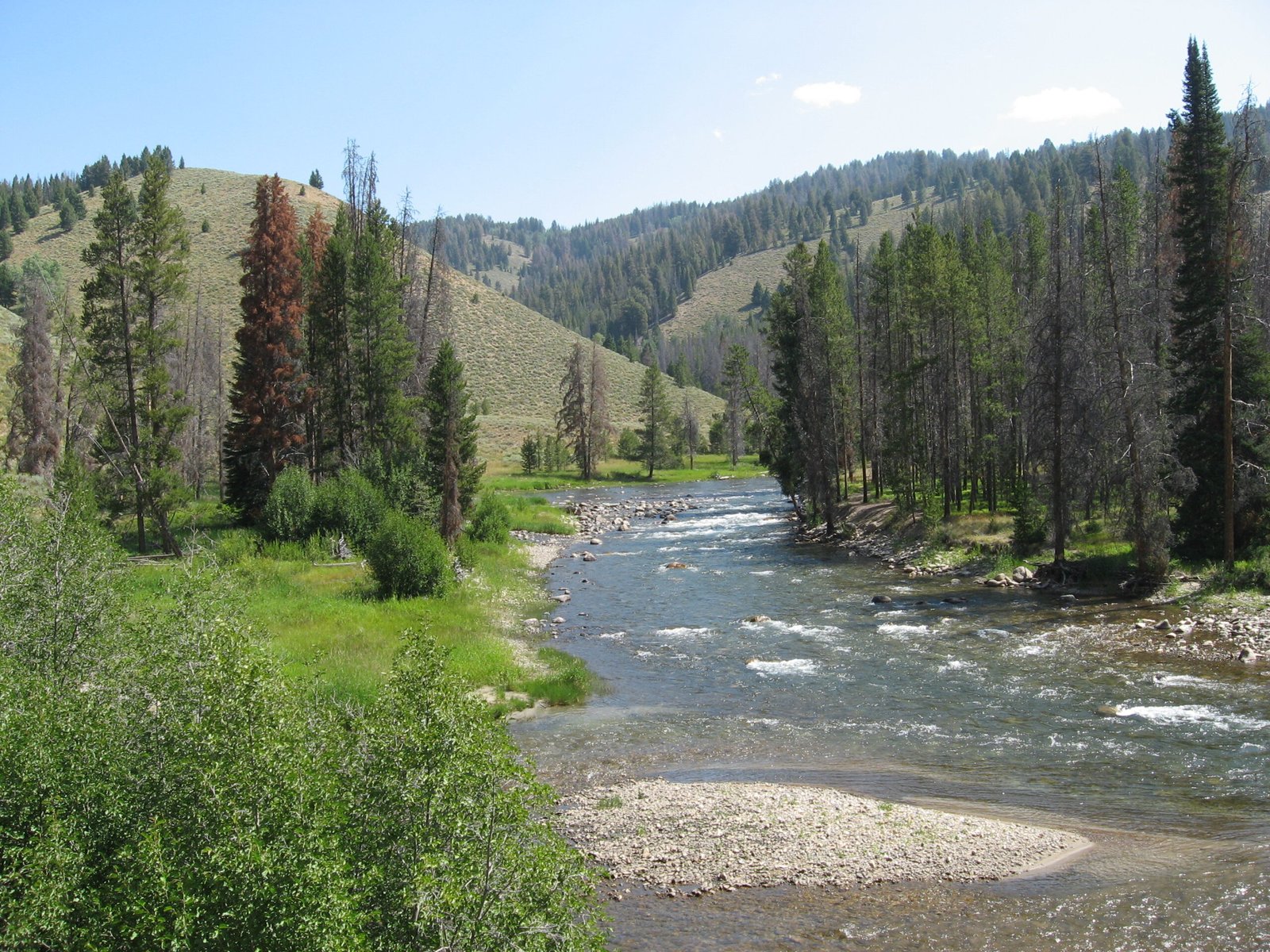 Revolutionary Fish Passage Systems: The
