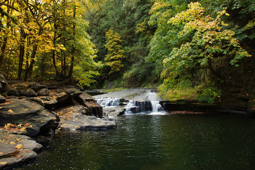 Looking Forward: The Future of Fish-Friendly Dams (image credits: flickr)