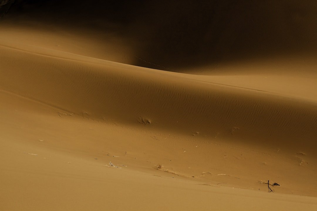 The Dune as a Natural Instrument (image credits: unsplash)