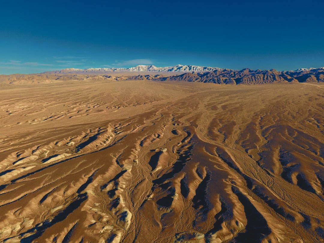 The Future Landscape (image credits: unsplash)