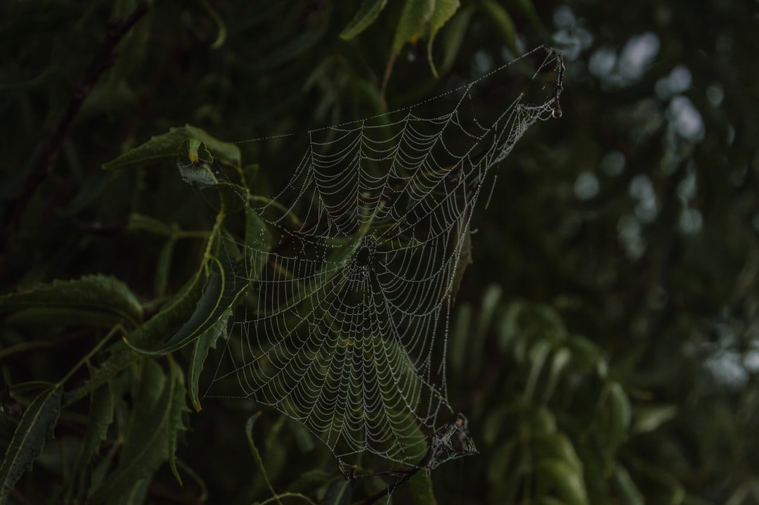 The Future Landscape (image credits: unsplash)