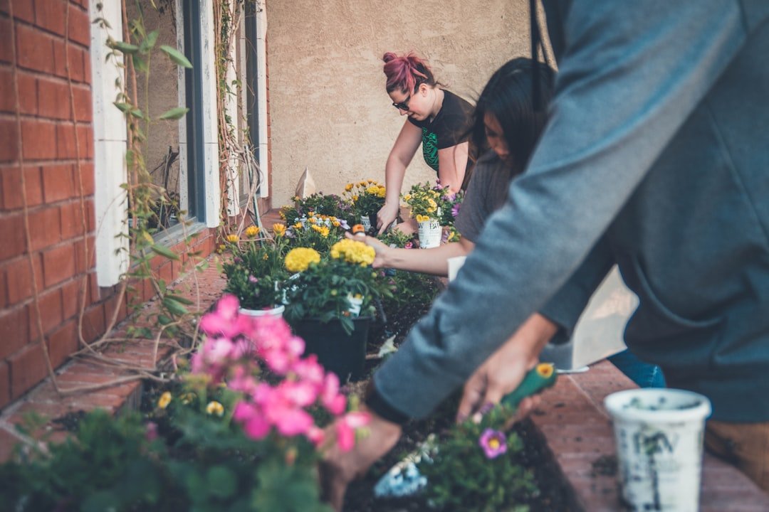 Simple Ways to Engage (image credits: unsplash)